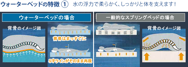 ウォーターベッドの特徴1:水の浮力で柔らかく、しっかりと体を支えます!